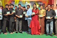 Bruce Lee Movie Audio Release Photos